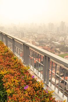 bush and fence in garden on rooftop of high-rise building in poor weather, haze of pollution covers city, global warming concept