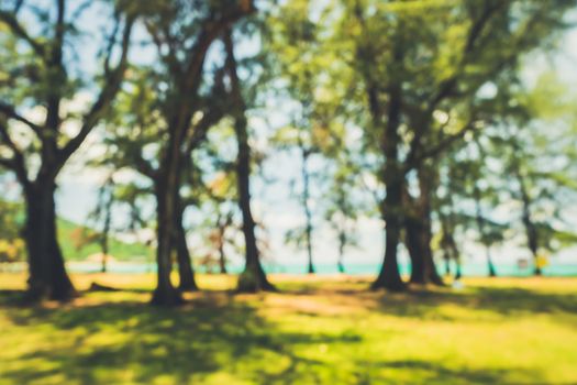 Blur nature bokeh green park by beach and tropical coconut trees in sunset time.