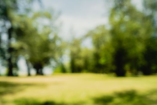 Blur nature bokeh green park by beach and tropical coconut trees in sunset time.