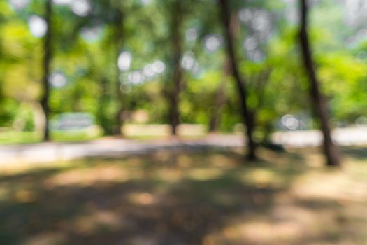 Blur nature bokeh green park by beach and tropical coconut trees in sunset time.