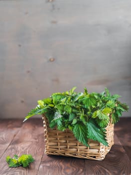 Basket of fresh stinging nettle leaves on wooden table. Nettle leaf with copy space. Vertical