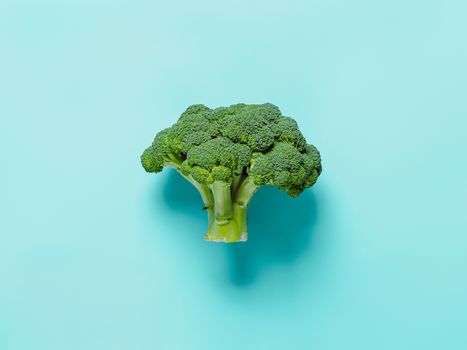 Broccoli on blue background. Fresh tasty green broccoli with copy space, top view or flat lay.
