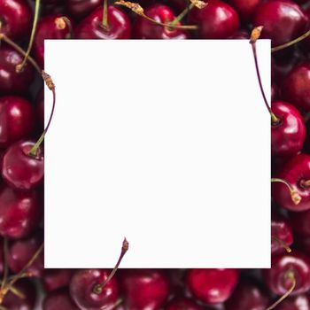 Creative layout with fresh ripe berries. cherry background with white square for copy space. Can use for your design, promo, social media, Top view