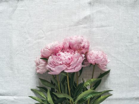 Beautiful pale pink peony bunch. Top view of pink piones bouquet on white linen tablecloth background. Copy space for text. Flat lay.