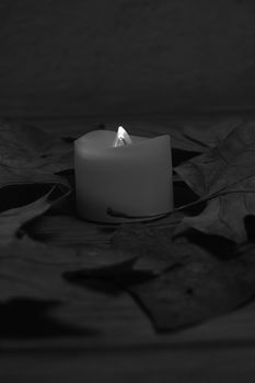 Candle and fallen autumn leaf on wooden background, black and white