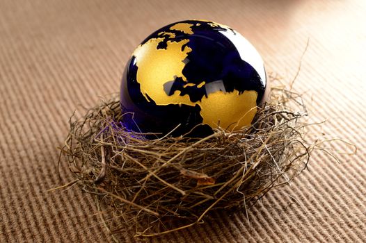 A sheltered Earth globe inside a birds nest for a variety of concepts.