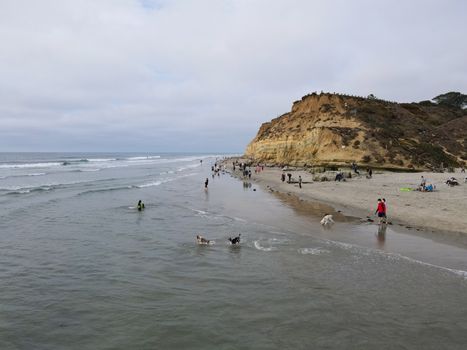 Dog Beach off-leash on Del Mar North Beach, people walking their dogs. San Diego County, California, USA. November 20, 2020