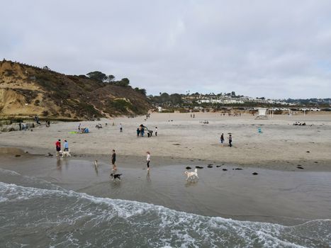 Dog Beach off-leash on Del Mar North Beach, people walking their dogs. San Diego County, California, USA. November 20, 2020