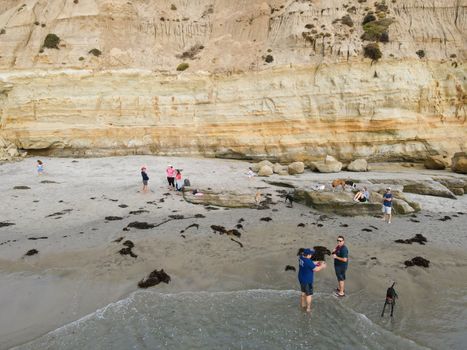 Dog Beach off-leash on Del Mar North Beach, people walking their dogs. San Diego County, California, USA. November 20, 2020