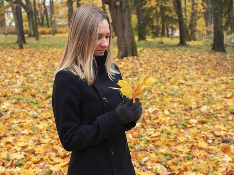 Young woman picks up fallen colorful autumn leaves. Girl collect yellow leaf. woman walking in the autumn Park
