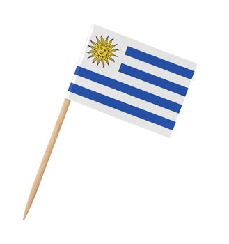 Small paper flag of Uruguay on wooden stick, isolated on white