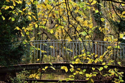 Close up of a small bridge in a park with branches with yellow leaves in the foreground