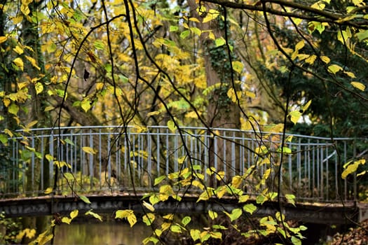 Close up of a small bridge in a park with branches with yellow leaves in the foreground