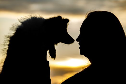 Woman and dog silhouettes on sunset clouds