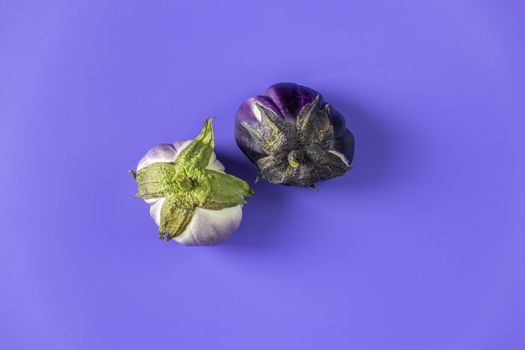 Two different raw fresh eggplant on violet background. Concept of green house life style and products of subsistence farming, flat lay, copy space