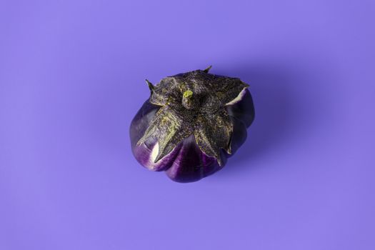 Raw fresh eggplant on violet background. Concept of green house life style and products of subsistence farming, flat lay, copy space