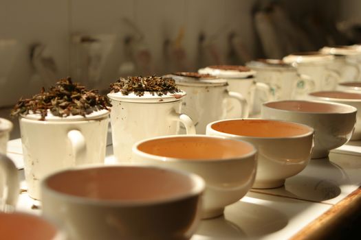Nuwara Eliya Sri Lanka tea plantation tea tasting room with cups of different tea brews