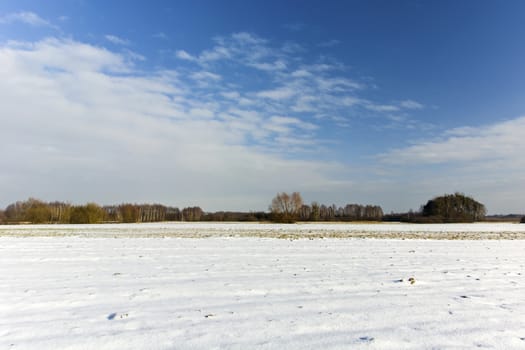 Snow-covered field, forest on the horizon and white clouds on the sky, winter view