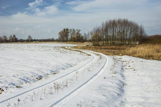Traces of wheels in the snow on a dirt road, trees and sky, winter view
