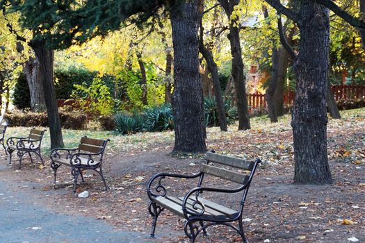 empty benches in autumn park in the evening.