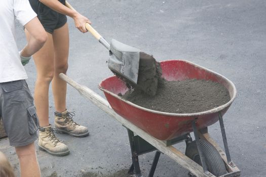 A worker pours moistened soil into a wheelbarrow and takes it to a site for planting grass
