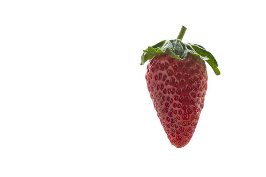 Red strawberry with green leaves and a small tail against a white background