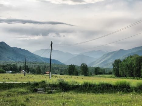Nature is altai. Mountain landscape, forests and reservoirs of the altai.