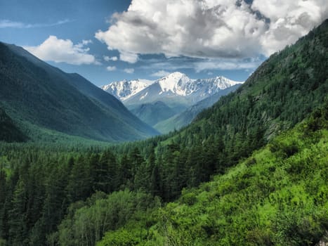 Nature is altai. Mountain landscape, forests and reservoirs of the altai.