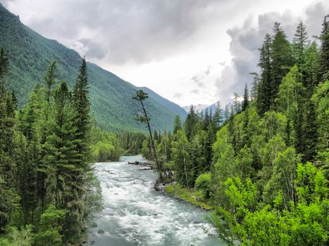 Nature is altai. Mountain landscape, forests and reservoirs of the altai.