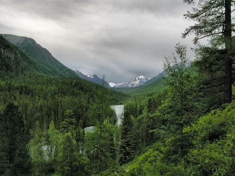 Nature is altai. Mountain landscape, forests and reservoirs of the altai.