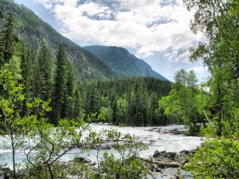 Nature is altai. Mountain landscape, forests and reservoirs of the altai.