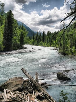 Nature is altai. Mountain landscape, forests and reservoirs of the altai.