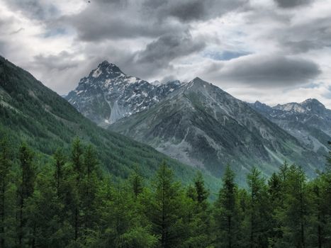 Nature is altai. Mountain landscape, forests and reservoirs of the altai.
