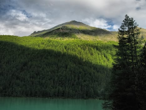 Nature is altai. Mountain landscape, forests and reservoirs of the altai.