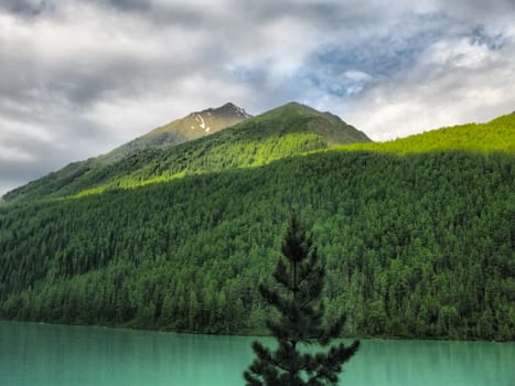 Nature is altai. Mountain landscape, forests and reservoirs of the altai.