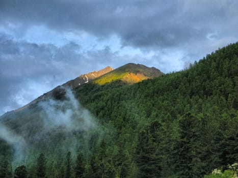 Nature is altai. Mountain landscape, forests and reservoirs of the altai.