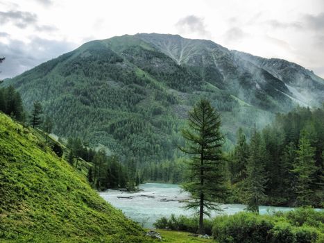 Nature is altai. Mountain landscape, forests and reservoirs of the altai.