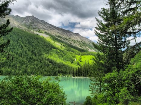 Nature is altai. Mountain landscape, forests and reservoirs of the altai.