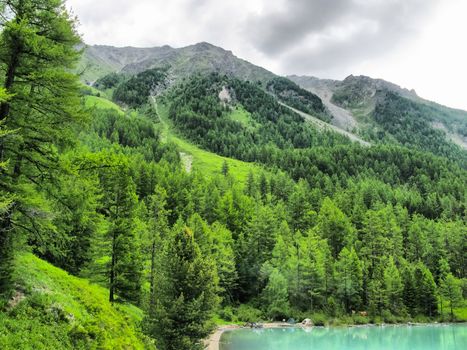 Nature is altai. Mountain landscape, forests and reservoirs of the altai.