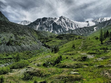 Nature is altai. Mountain landscape, forests and reservoirs of the altai.