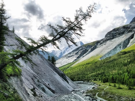 Nature is altai. Mountain landscape, forests and reservoirs of the altai.