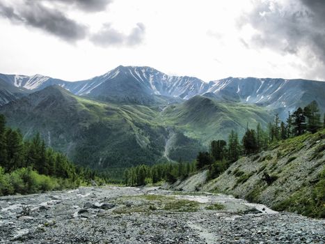 Nature is altai. Mountain landscape, forests and reservoirs of the altai.