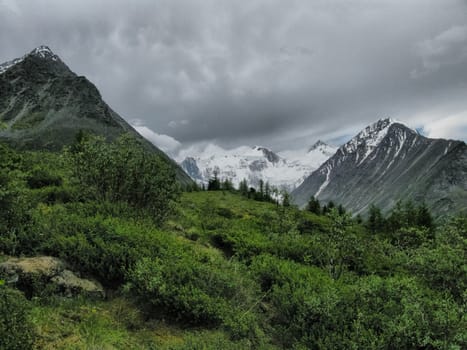 Nature is altai. Mountain landscape, forests and reservoirs of the altai.