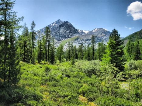 Nature is altai. Mountain landscape, forests and reservoirs of the altai.