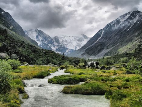 Nature is altai. Mountain landscape, forests and reservoirs of the altai.
