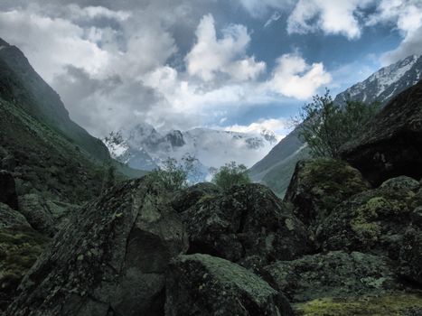 Nature is altai. Mountain landscape, forests and reservoirs of the altai.