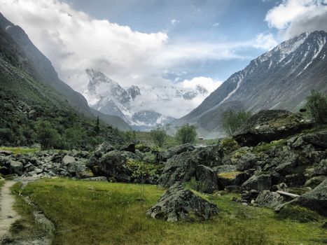 Nature is altai. Mountain landscape, forests and reservoirs of the altai.