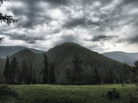Nature is altai. Mountain landscape, forests and reservoirs of the altai.