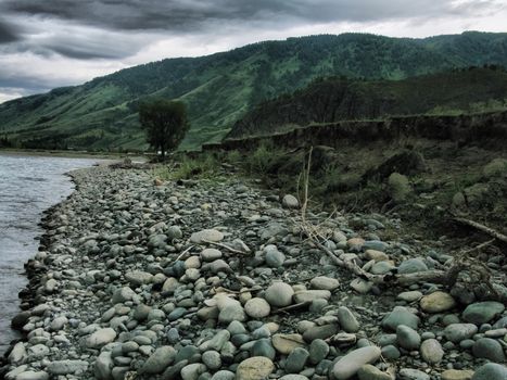 Nature is altai. Mountain landscape, forests and reservoirs of the altai.