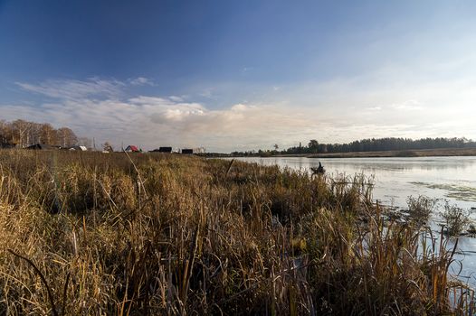 Sunset on the pond. Grass by the shore of the lake.